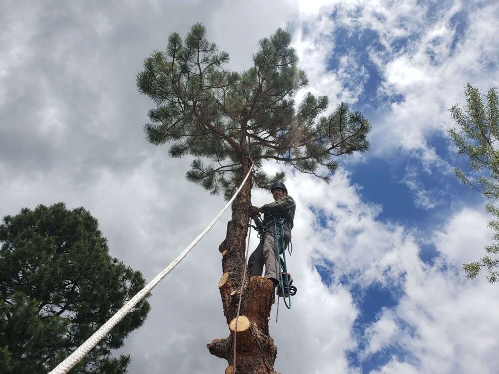 June 9 Willow Springs Near Red Rocks Country Club 5